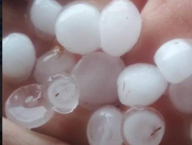 En Izúcar se registra caída de granizo del tamaño de una canica   