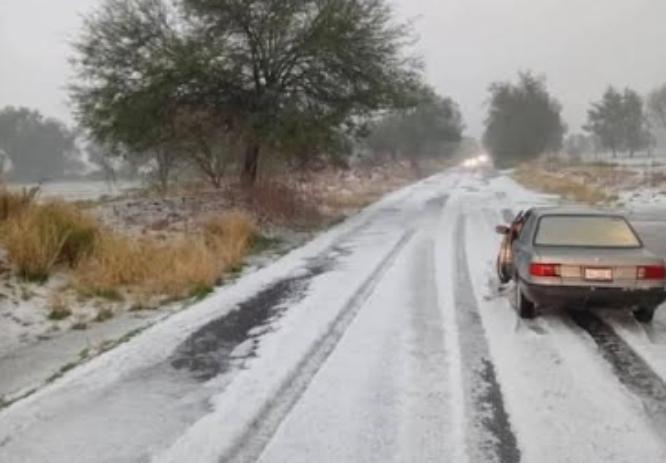 Granizada en Tochtepec deja afectaciones en terrenos de cultivo y caídas de árboles 