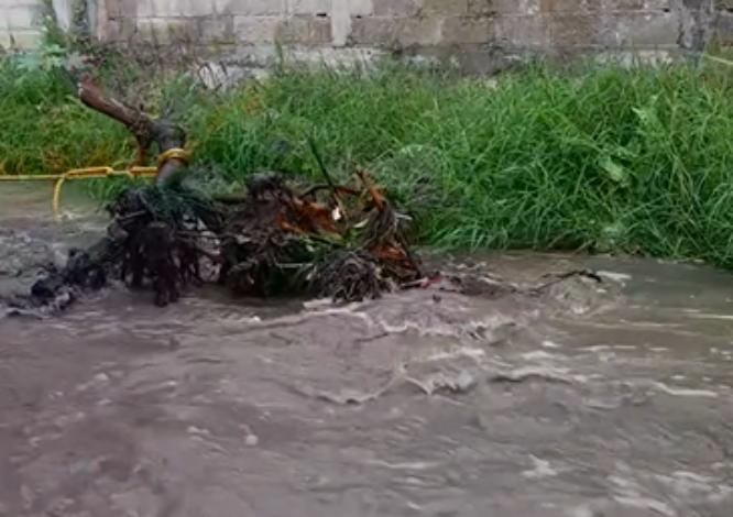 Lluvias dejan encharcamientos en viviendas en Izúcar