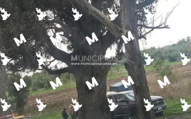 Localizan cadáver embolsado en terrenos de Huejotzingo