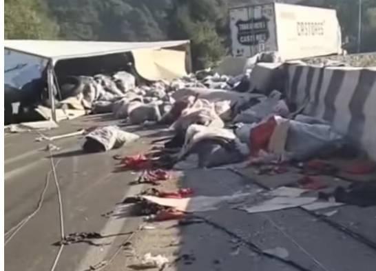 Volcadura de tractocamión en la Puebla-Orizaba provoca cierre de circulación 