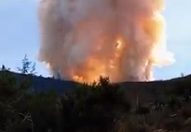 Incendio forestal consume reserva de la Biosfera en Quecholac