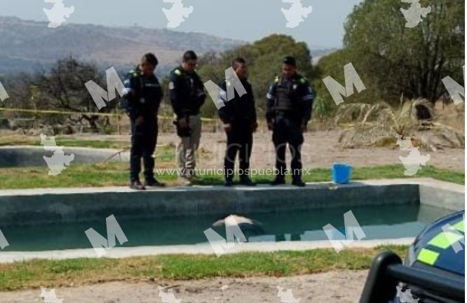 Encuentran cadáver de mujer flotando en alberca en la colonia Ampliación Álamos