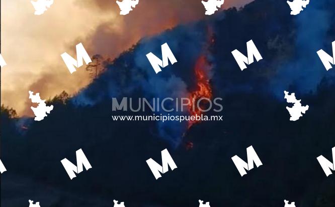 Incendio forestal arrasa con zona boscosa de San Juan Cuautla en Coyomeapan