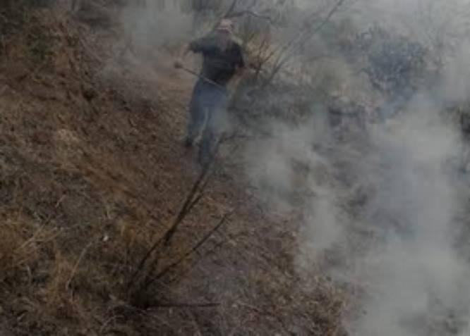 Campesinos de Texmelucan realizan brechas corta incendios