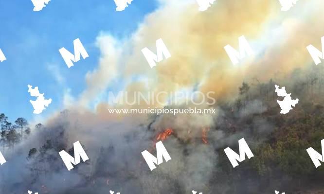 Llamas consumen cerro en San Bernardino Lagunas en Tehuacán