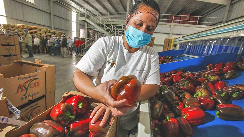 Puebla exportó 19 mmdd en 2023; 1.0 por ciento menos que en 2022