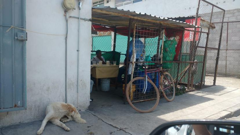 Texmelucan convierte pulquerías en áreas verdes