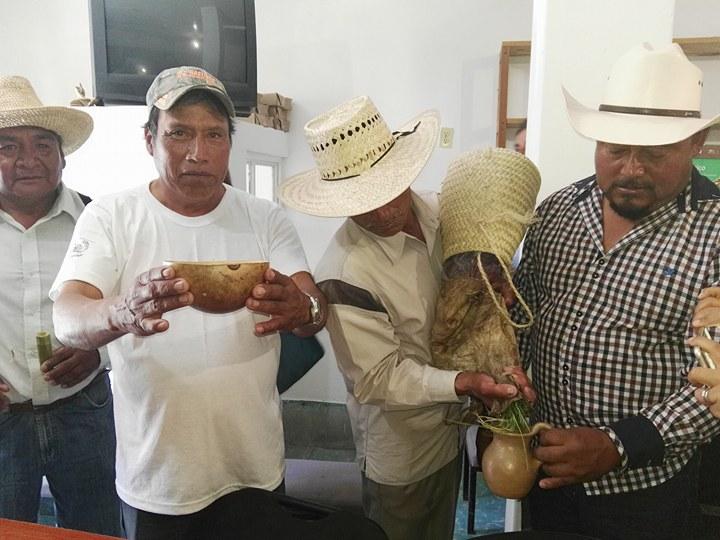 Alistan Festival Regional del Pulque y Maguey en Zapotitlán