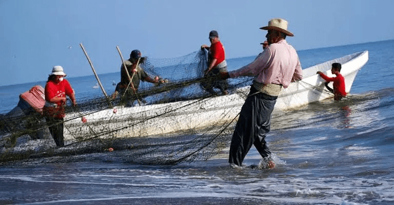 La Pesca en cuaresma se incrementa: Sader