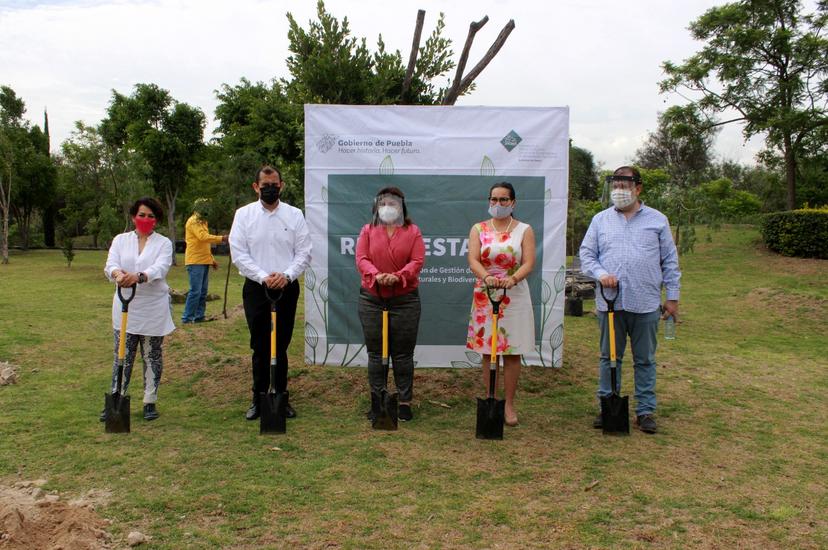 Reforestará Medio Ambiente 179 hectáreas en Puebla