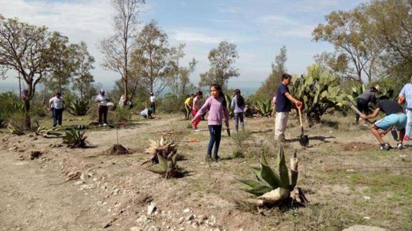 Por Día de la Tierra, comienza reforestación de cerros en Tecamachalco