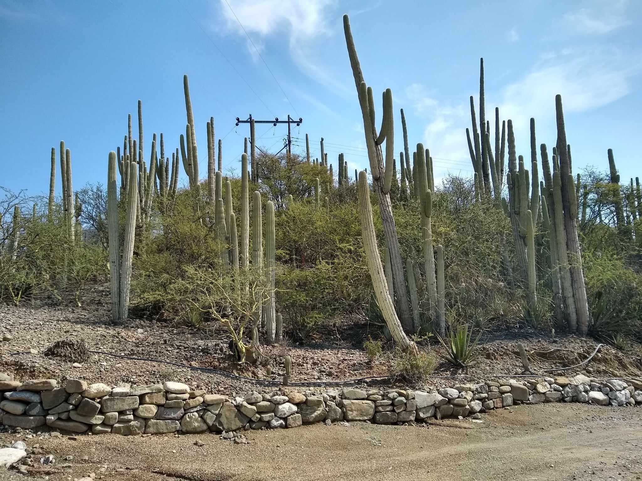 Detectan contaminación por aguas residuales en la Reserva de la Biosfera