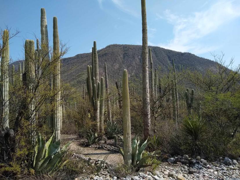 Impulsarán travesía Tehuacán-Cuicatlán como atractivo turístico de la región