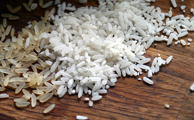 Buscarán impulsar la investigación para desarrollo de semillas de arroz