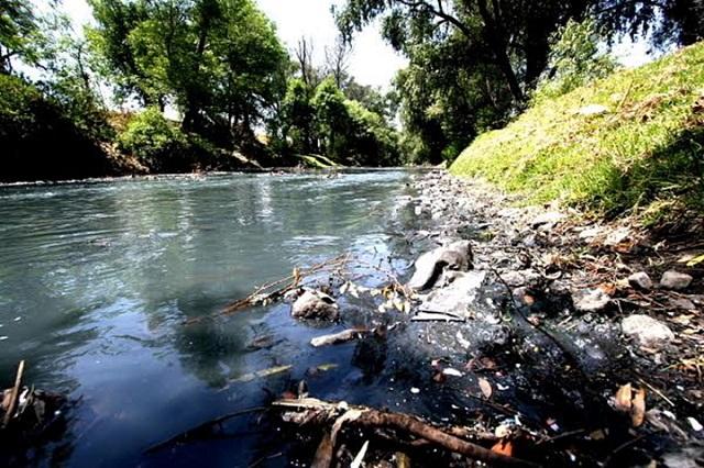 ONG alerta sobre los niveles de contaminación en el Río Atoyac