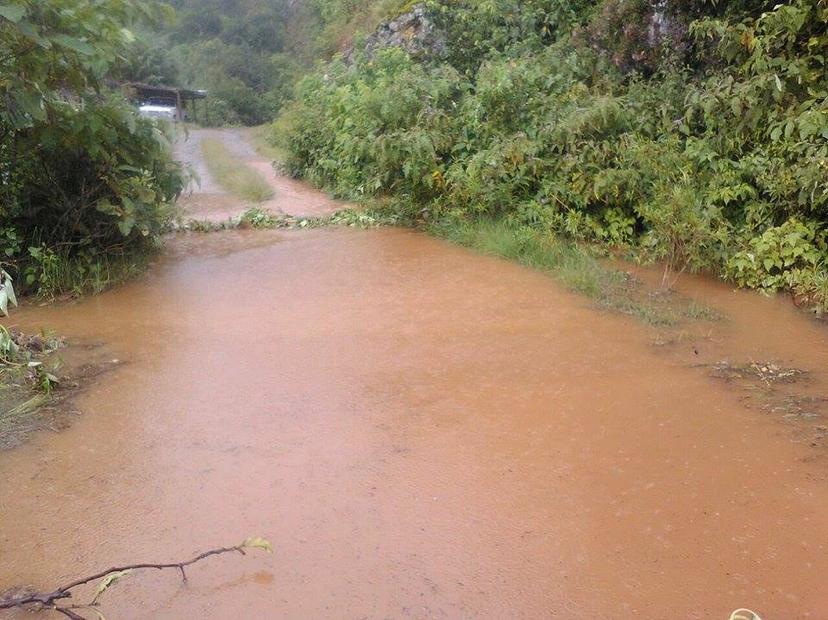 Dejan lluvias 25 derrumbes en caminos de la Sierra Negra