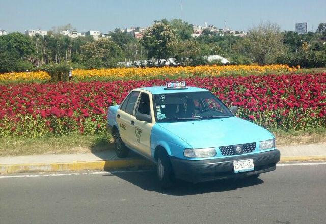 Desaparece taxista de Atlixco; sus compañeros lo buscan