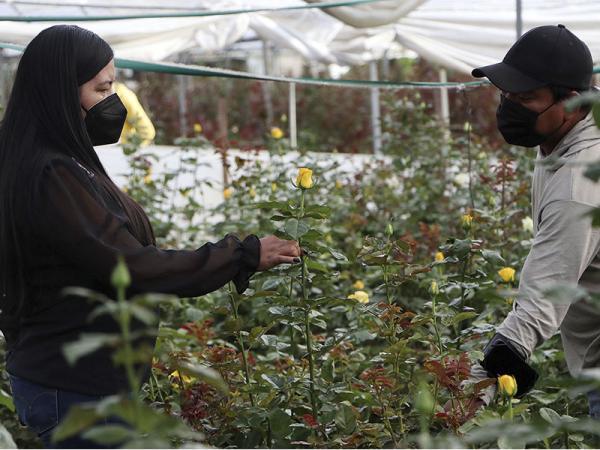 Crearán ruta agroturística en San Martín Texmelucan