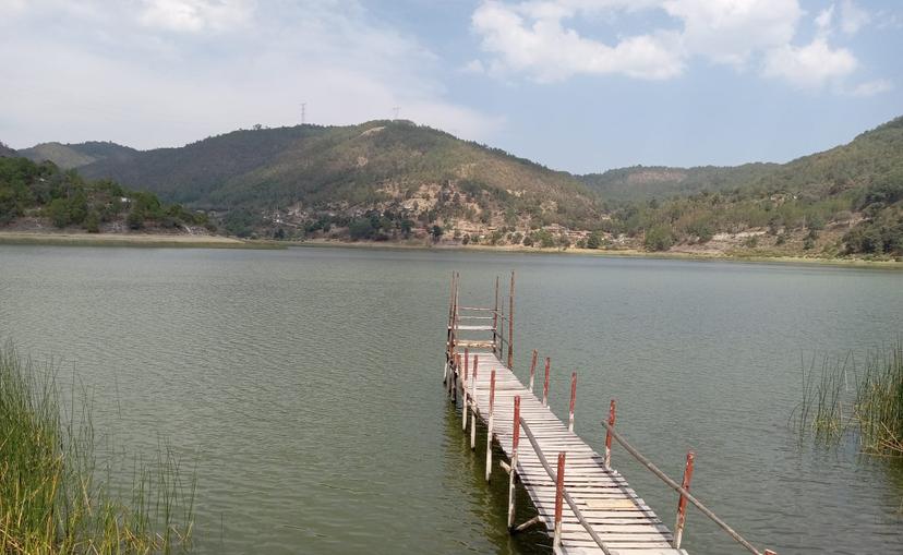 Tras muerte masiva de peces en San Bernardino Lagunas buscan apoyos para recuperar la laguna