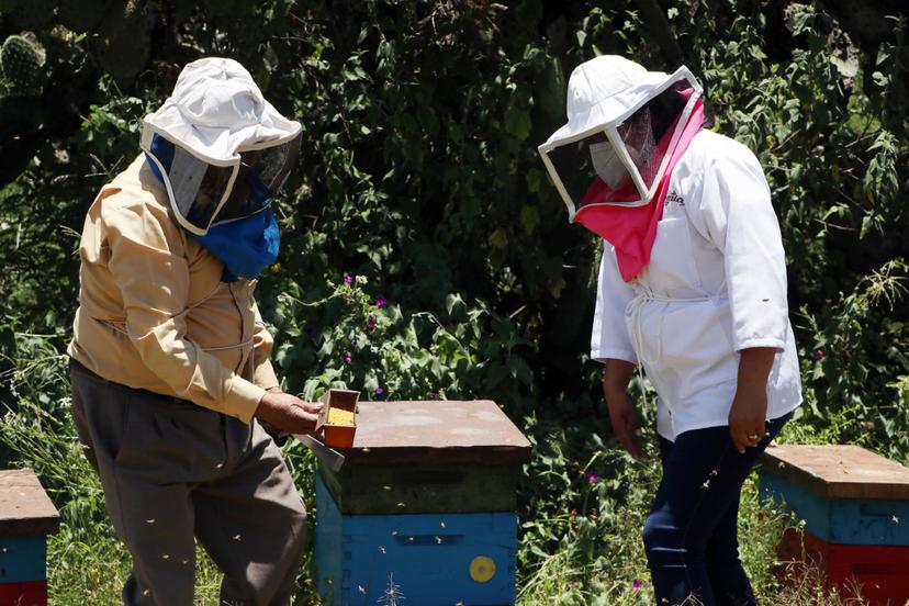 Abren ventanillas para seis programas del campo poblano