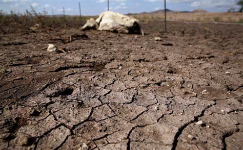 Hay sequía en el 10% del territorio nacional: Conagua