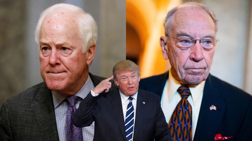 Por miedo a crisis, senadores republicanos cuestionan aranceles de Trump 