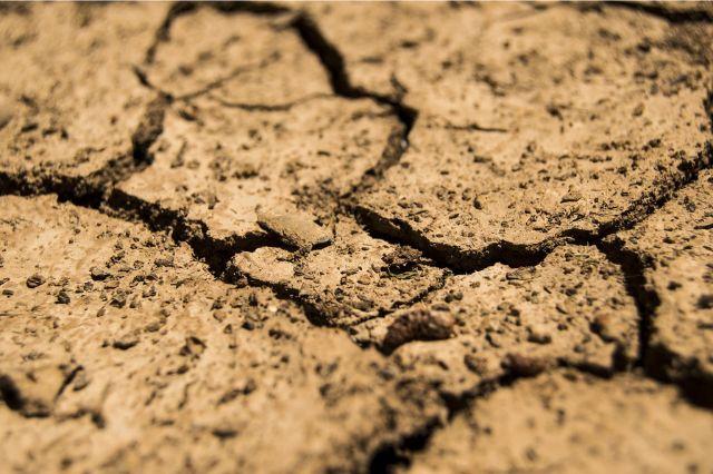 Sequía extrema en Sinaloa: presas vacías y la agricultura al borde del colapso