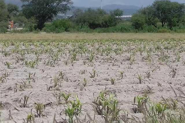 Con dispersión de químicos avioneta inhibe lluvia en Tehuacán