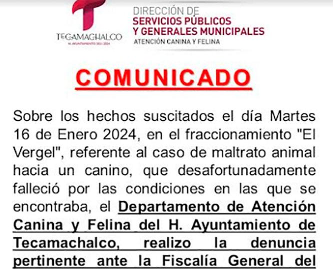 Denuncian ante la Fiscalía presunto trato animal en Tecamachalco