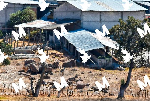 Se mantiene presencia de autoridades en Rancho de La Curandera en Tlaxco