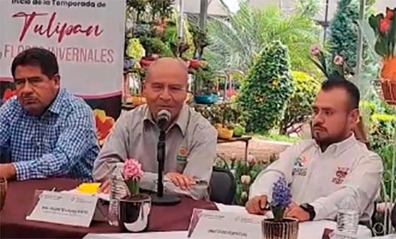 Inicia la temporada de tulipanes en Atlixco