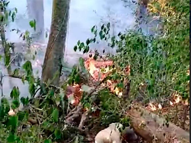 Se registra otro incendio forestal en la Sierra Negra, ahora en Tlacotepec 