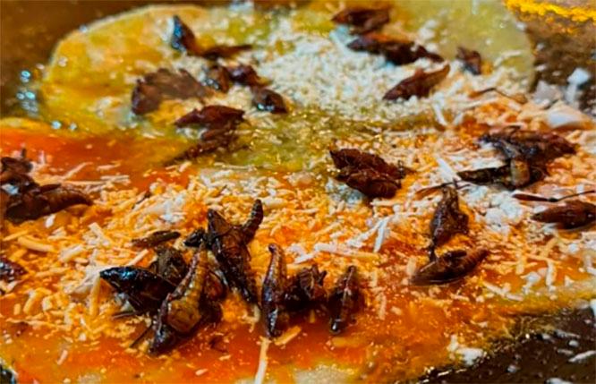 Chalupas con chapulines, propuesta gastronómica en Atlixco 