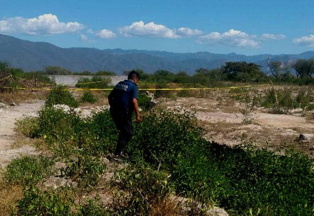 Cadáver putrefacto contamina agua potable de Altepexi