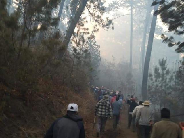 Vecinos logran sofocar incendio en zona boscosa de Teotlalcingo