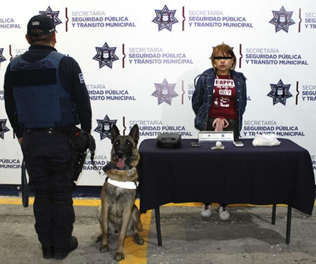 Perro descubre a mujer con droga cristal en la CAPU