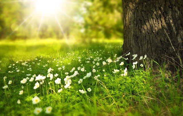 En esta fecha comenzará el equinoccio de primavera