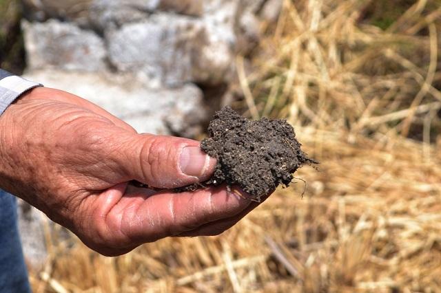 ICUAP impulsa conservación y recuperación de suelos