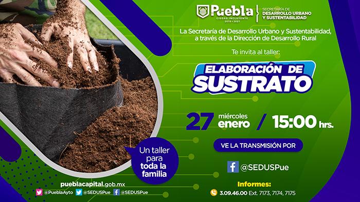 Ayuntamiento de Puebla brinda talleres virtuales de cultivo para zonas urbanas