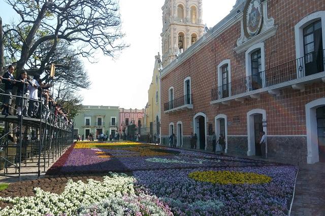 Volverán los tapetes florales a Atlixco