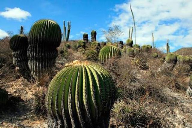 Advierte Barbosa que expropiará a privados laguna de Alchichica y Biosfera de Tehuacán 