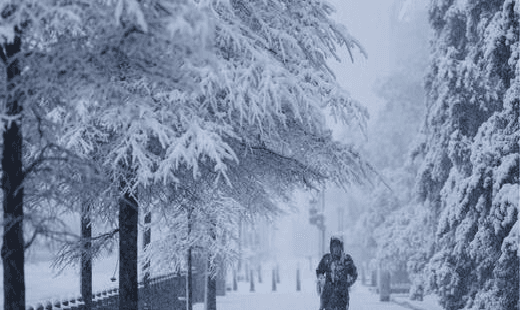 Tormenta invernal pone en alerta estados del sur y la costa este de EU