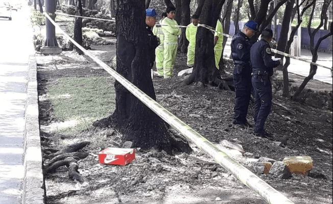 Encuentran mano cercenada dentro de caja de tenis