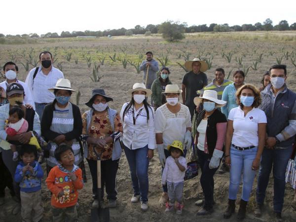 Impulsan a mujeres productoras de maguey en Tepatlaxco