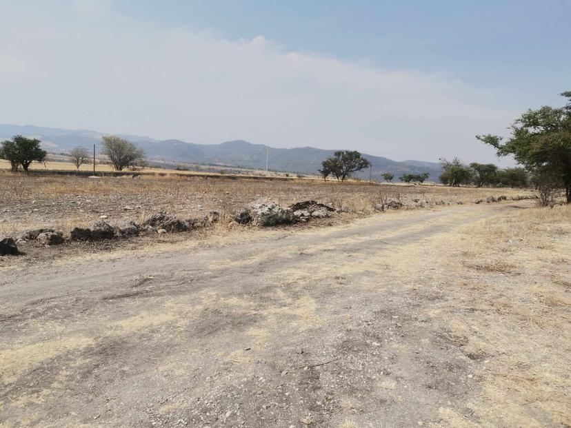 Sujetos armados balean a adolescente en Tepexco