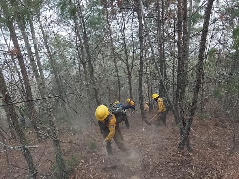 Preocupa a vecinos de Tetela de Ocampo avance del incendio forestal