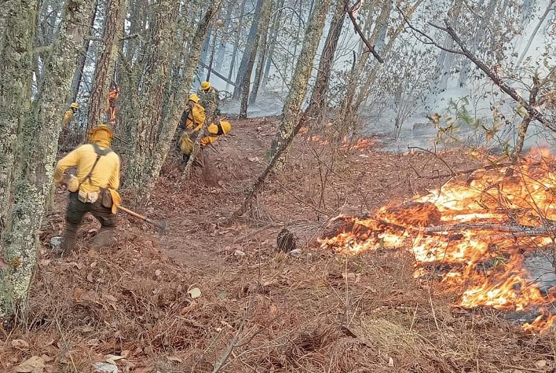 Ahora sí liquidan el incendio forestal en Tetela de Ocampo