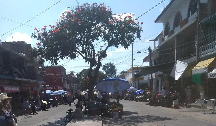 Establecen reglas a tianguis de Atlixco por fin de año y covid