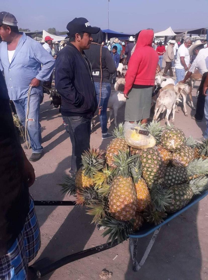 Pese a contingencia reabrirán plaza de los lunes en Tlacotepec